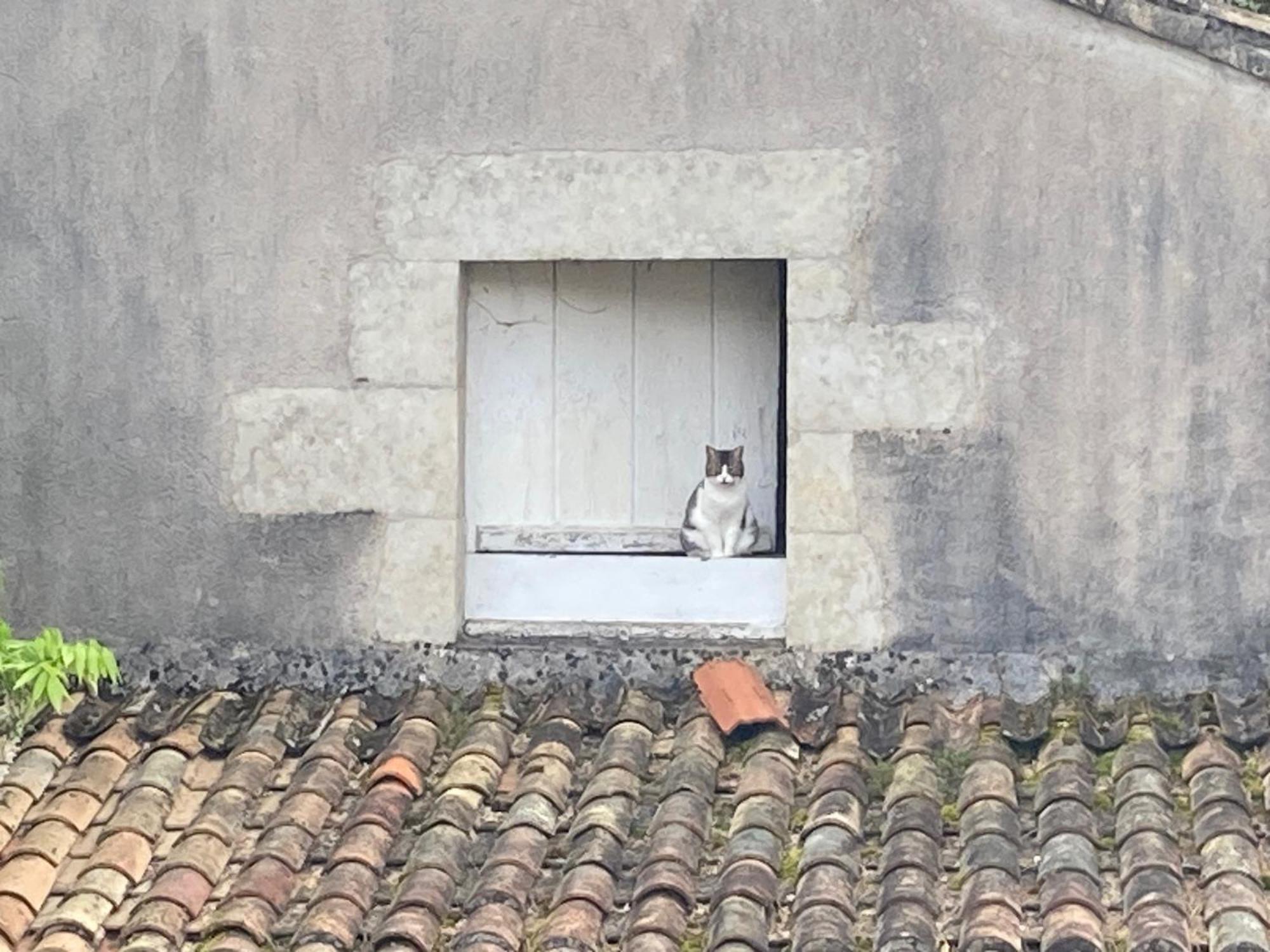 Mazette! Le Chateau Niort Exterior foto